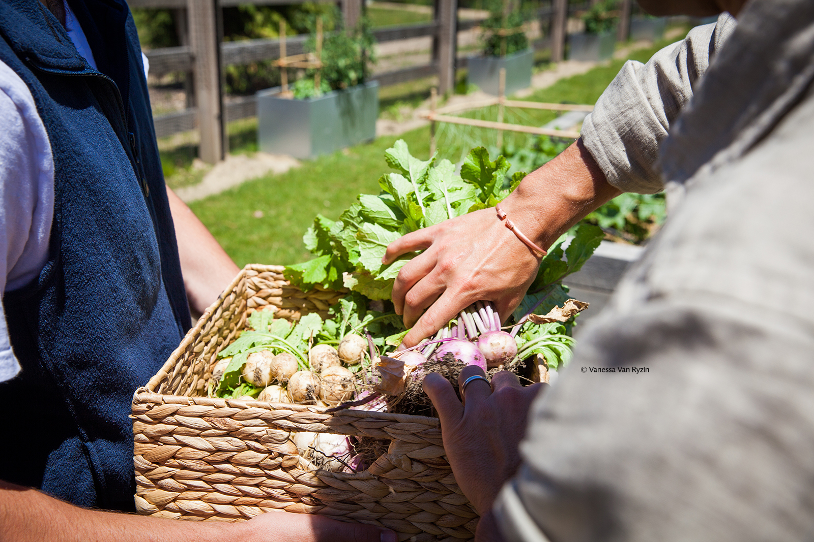 Grace Farms Foundation Responds To Community Needs While Temporarily