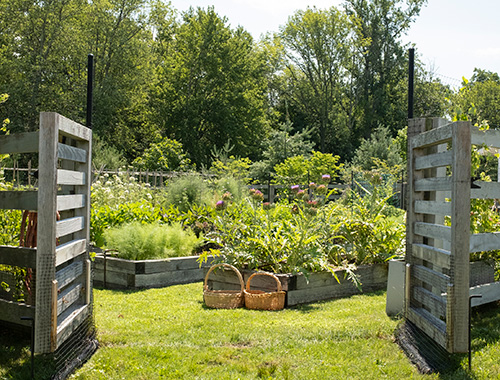Grace Farms' Sustainable Community Garden