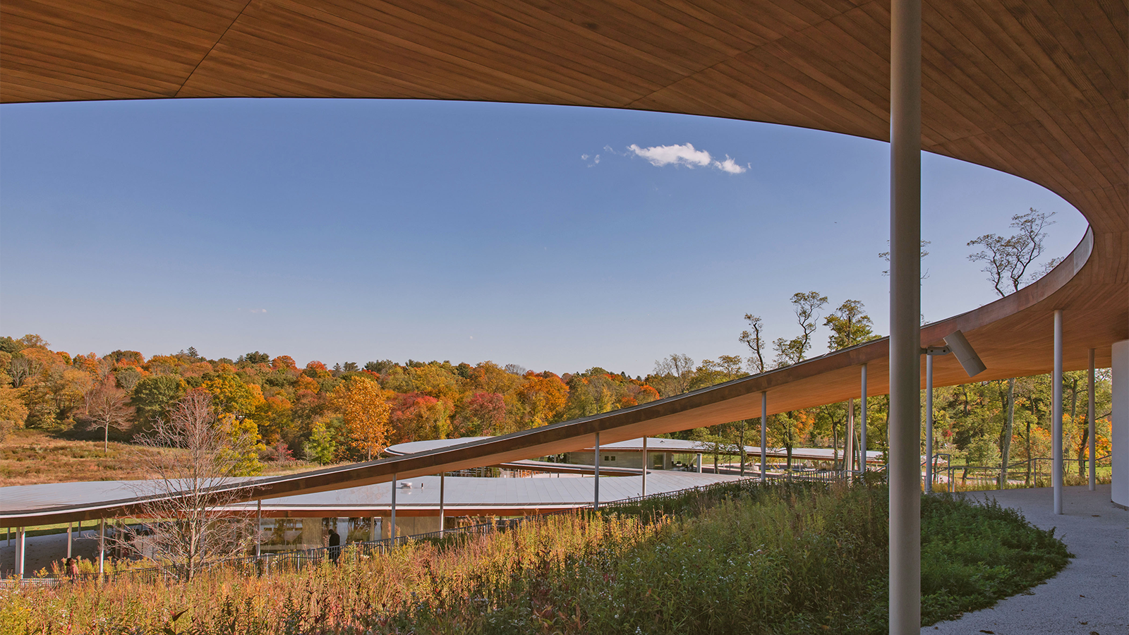 A segment of the River building at Grace Farms surrounded by fall foliage.