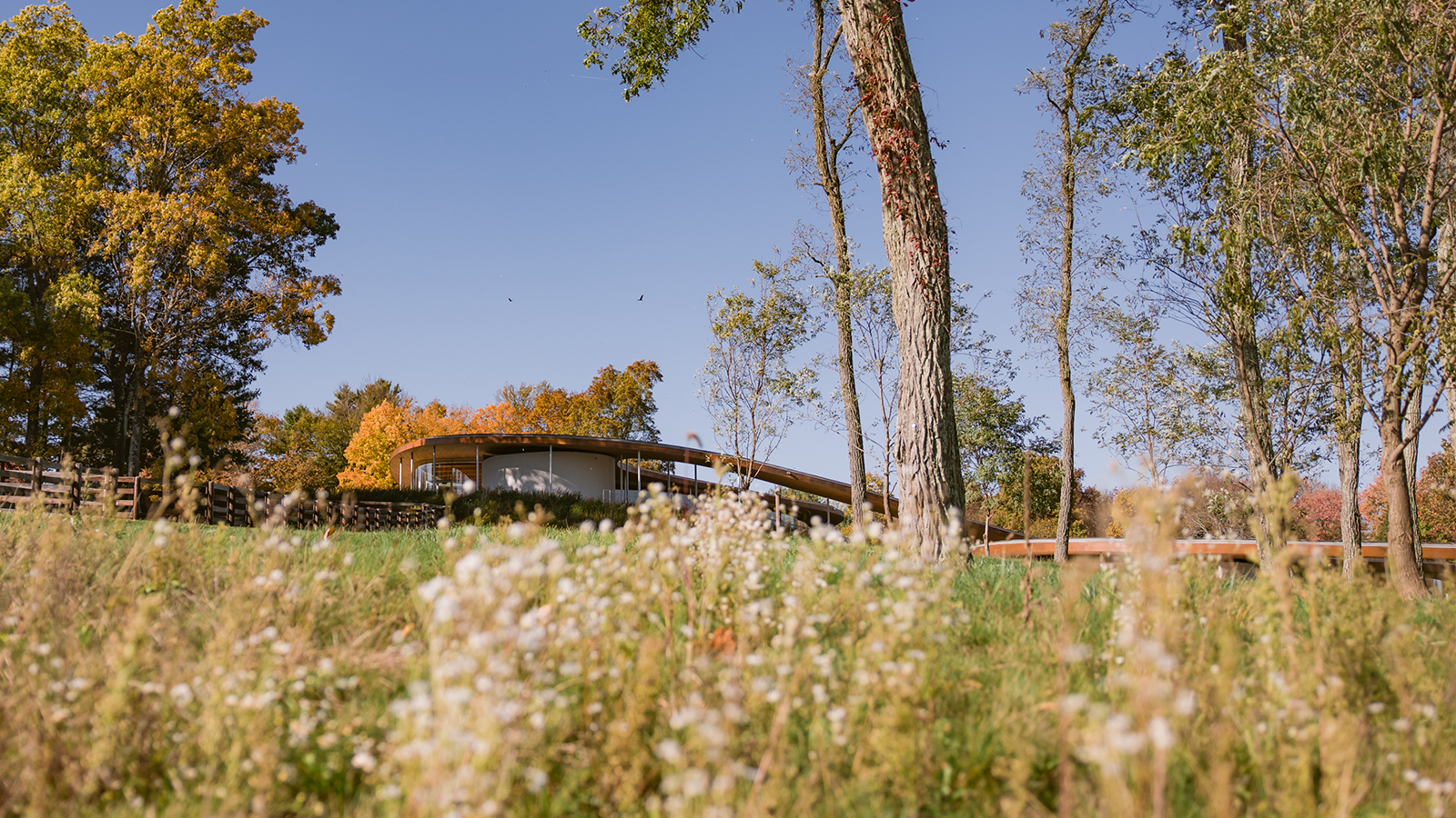 Native meadows and the River building at Grace Farms