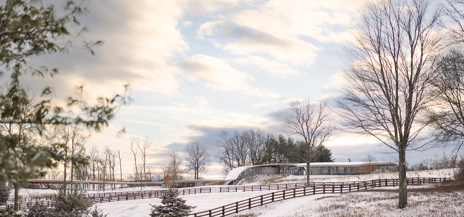 Northern Lights Experience at a Farm | Farm Activities | Storsteinnes |  Norway, image size:1600x750