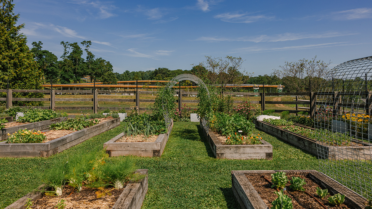 Grace Farms Late July/Early August