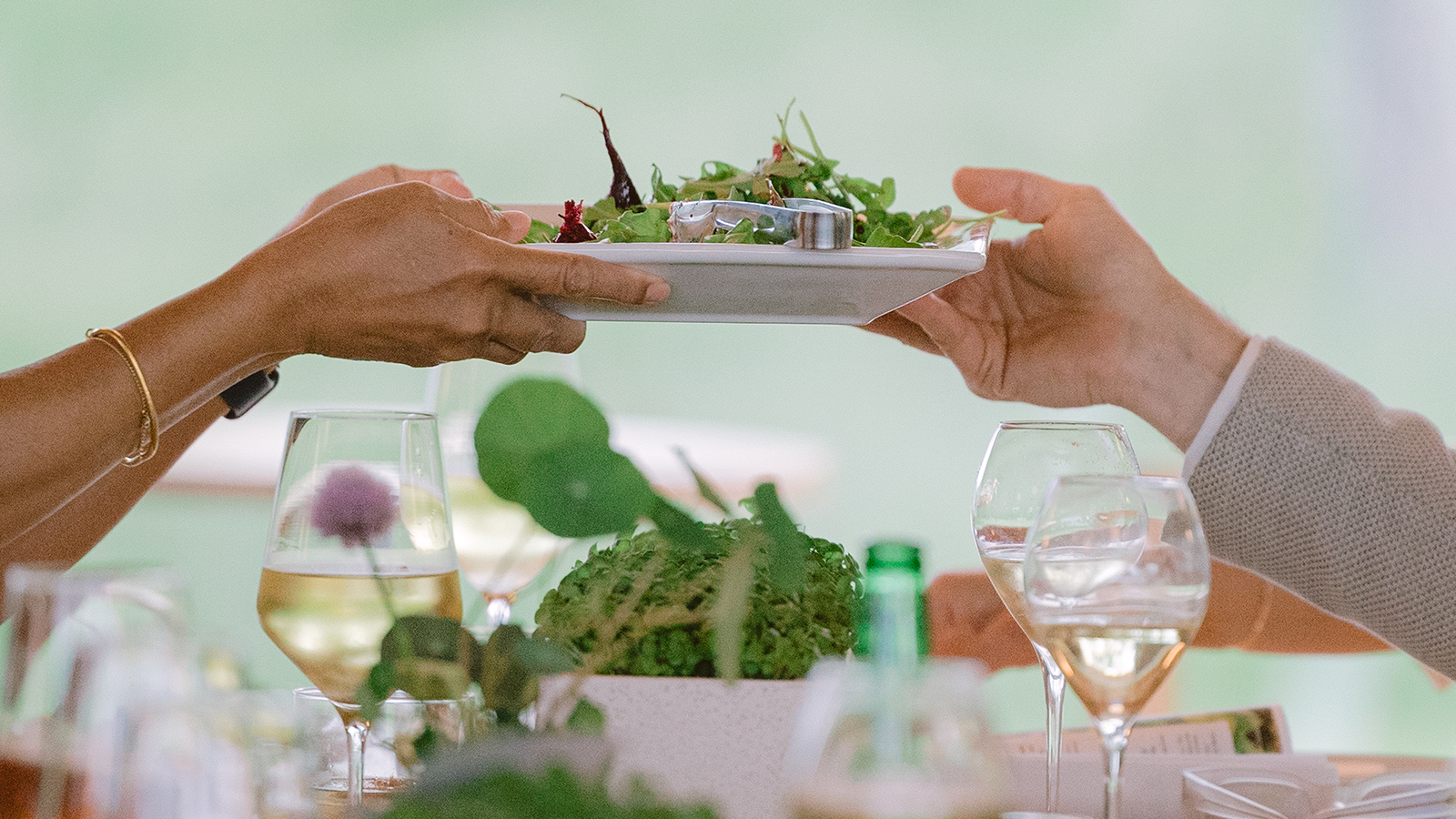 Dinner from the Garden 2 web_ML