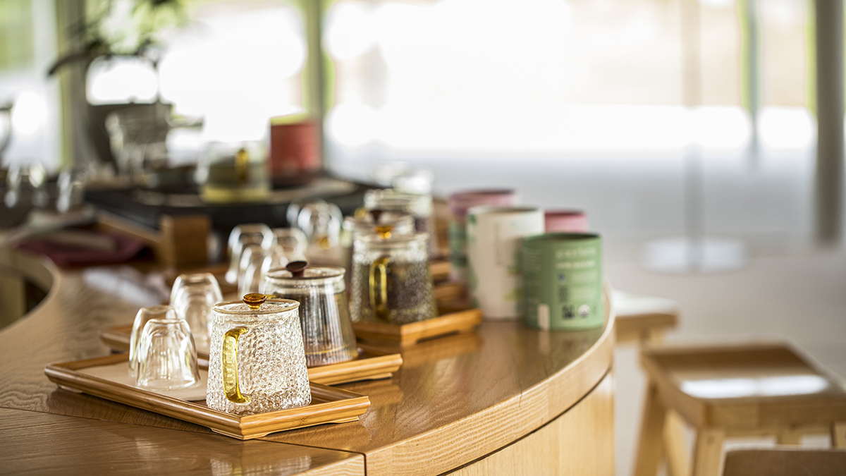 Journey into the World of Tea Summer 2026