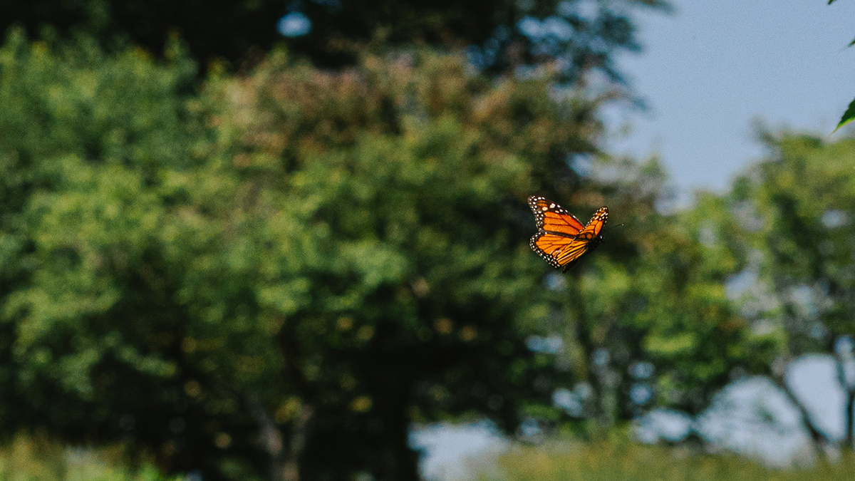 Grace Farms-June 12, 2025