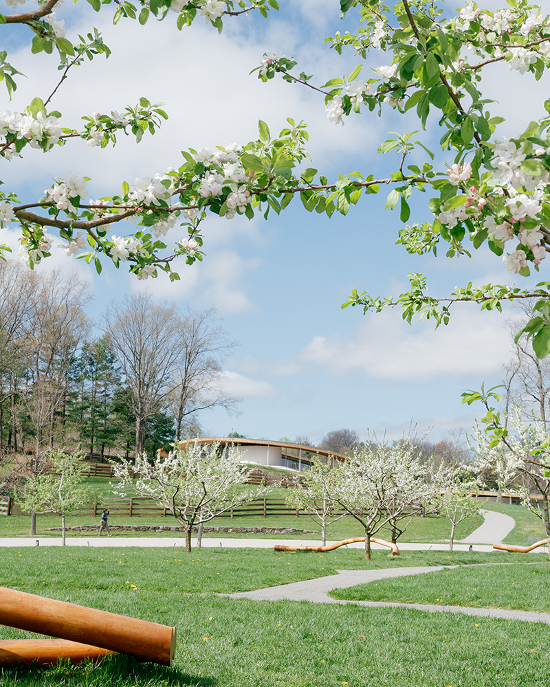 Image of Grace Farms